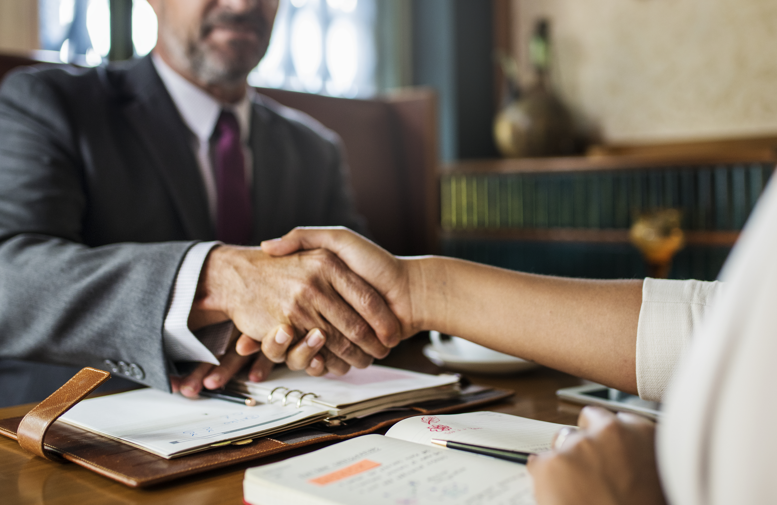 Legal Expertise